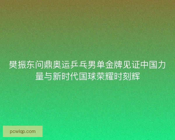 樊振东问鼎奥运乒乓男单金牌见证中国力量与新时代国球荣耀时刻辉