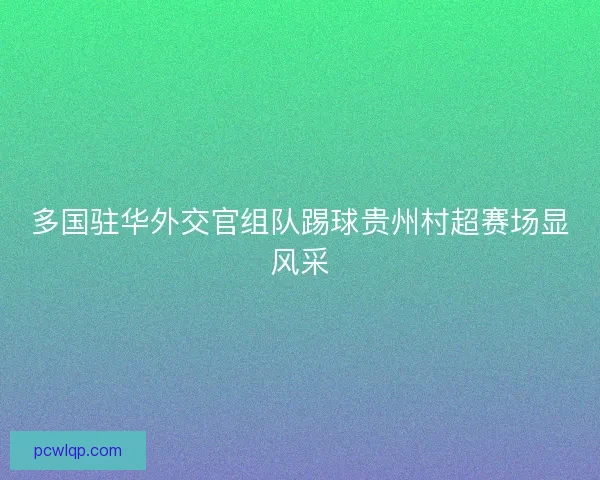 多国驻华外交官组队踢球贵州村超赛场显风采